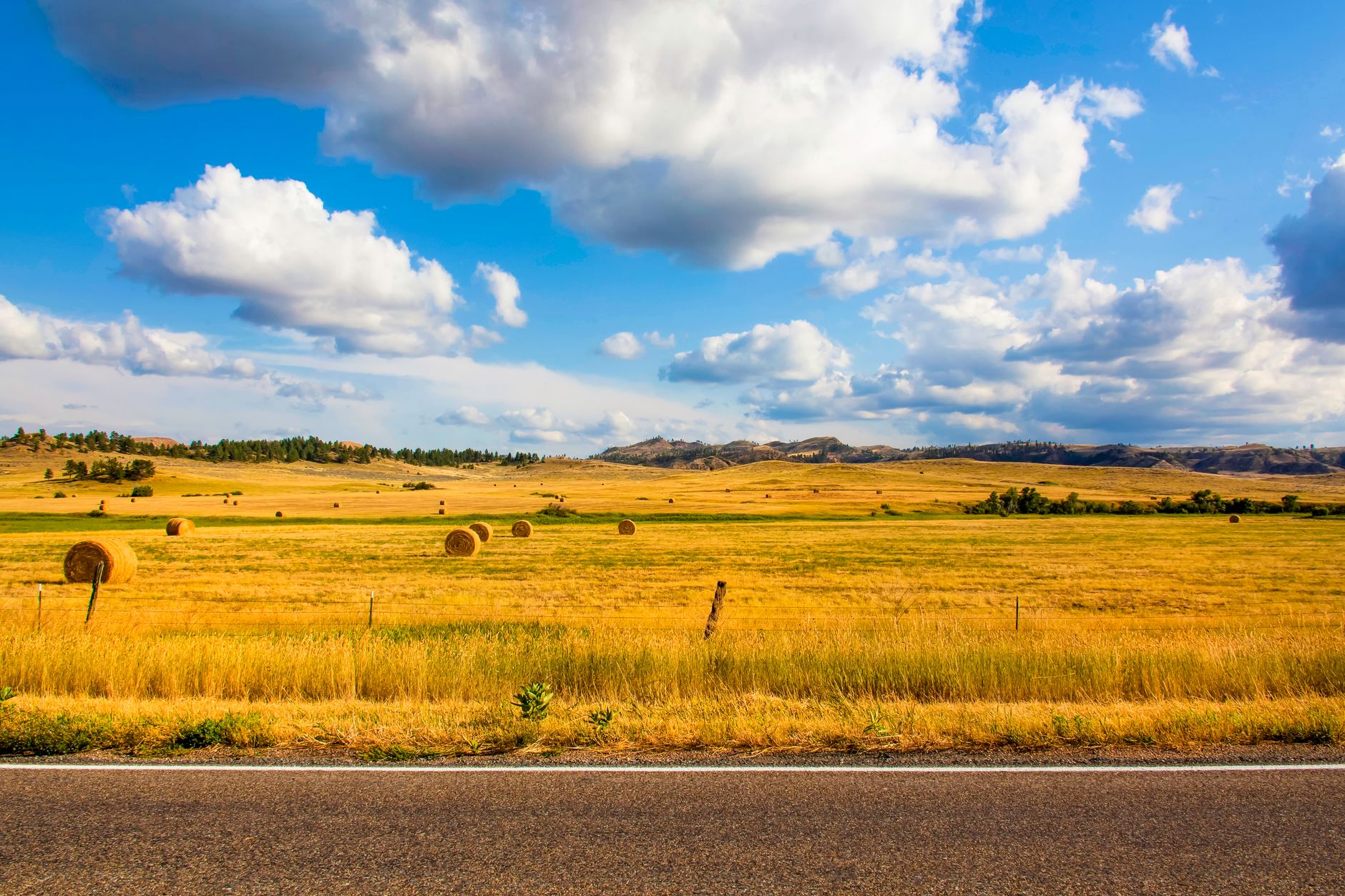 a field with hay bales